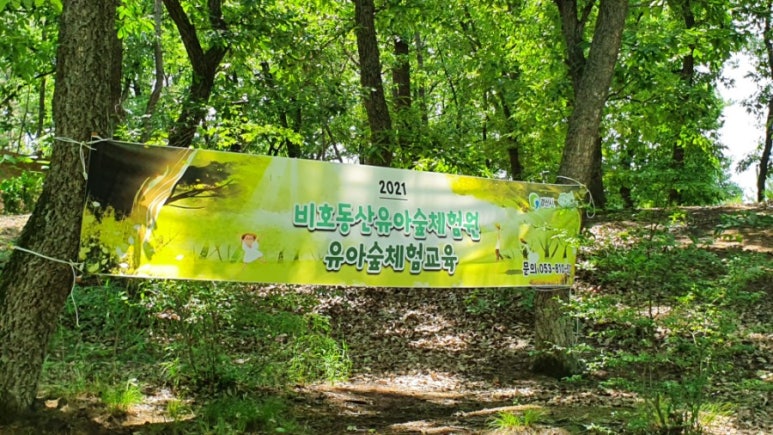 비호동산 유아숲체험원 이미지