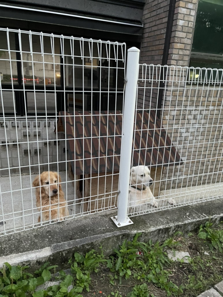 hi불도장 이미지