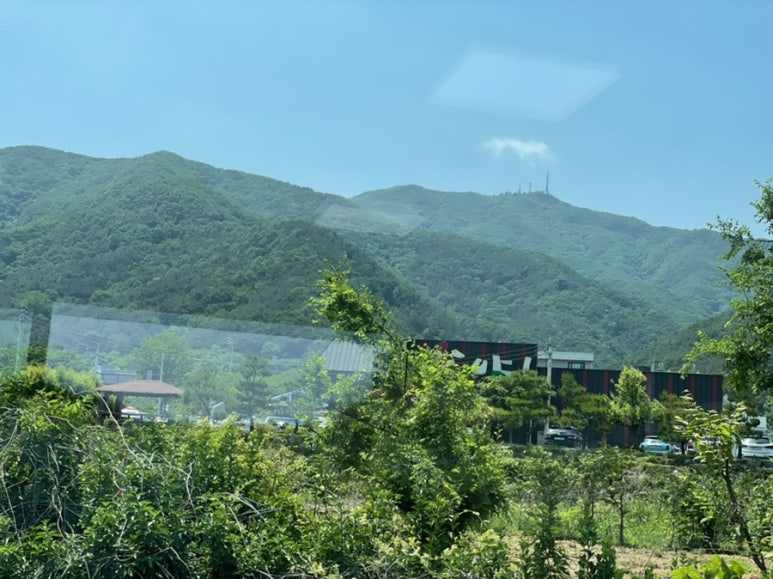 청산골 쭈갈비 이미지