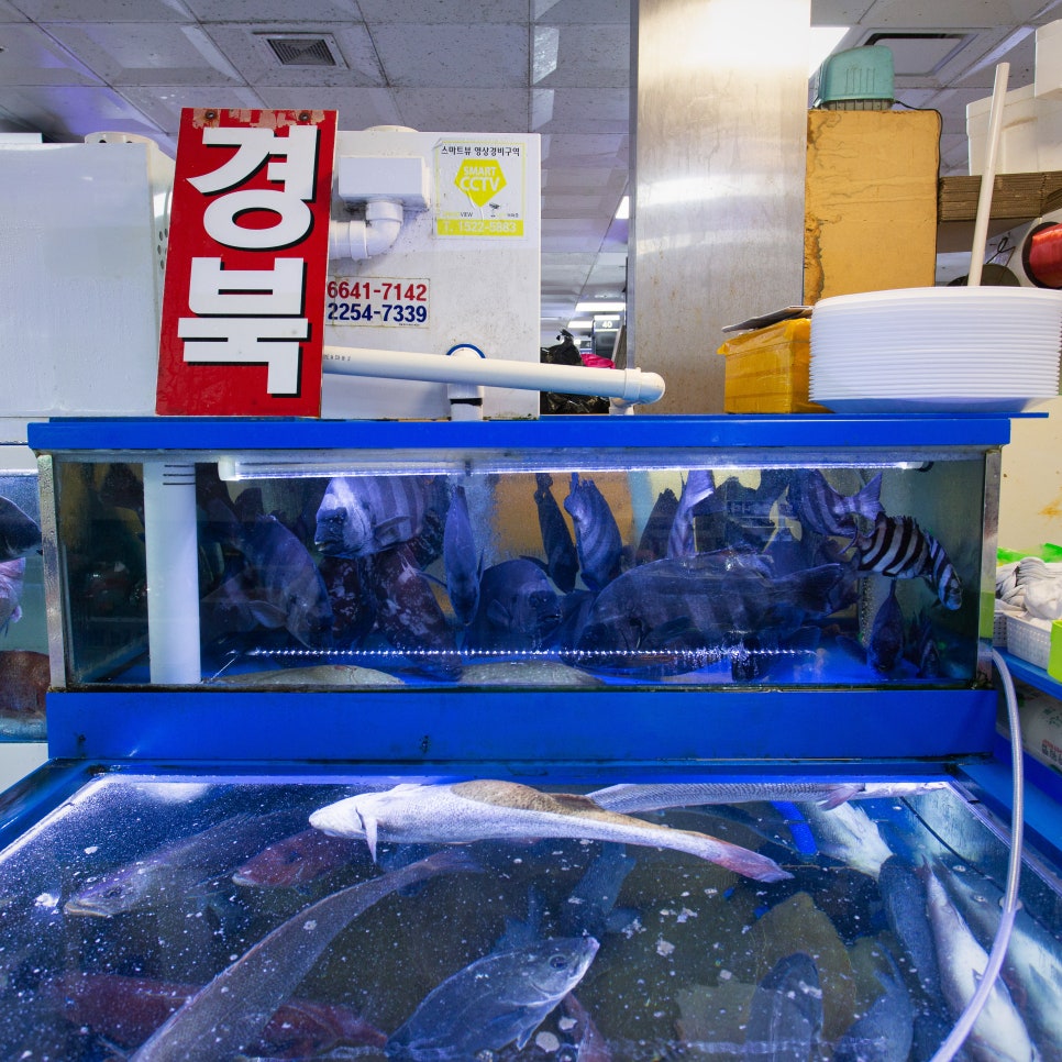 경북상회 이미지
