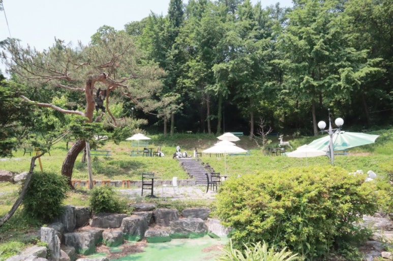 화덕고등어&CAFE 이미지