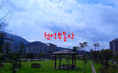 김용대풋볼클럽풋살장 이미지