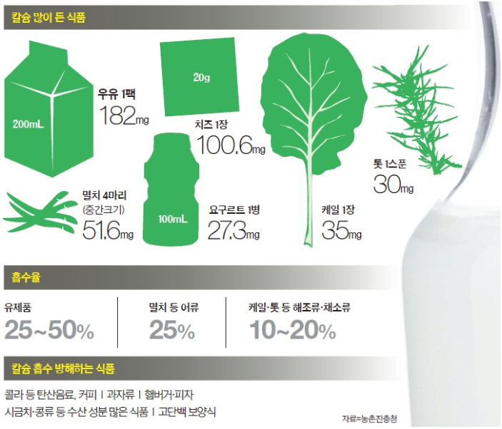 섹칼슘 이미지