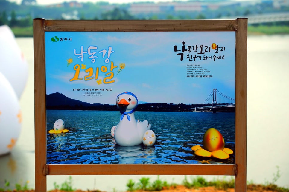 낙동강오리알 이미지