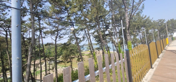 하라고14호 이미지