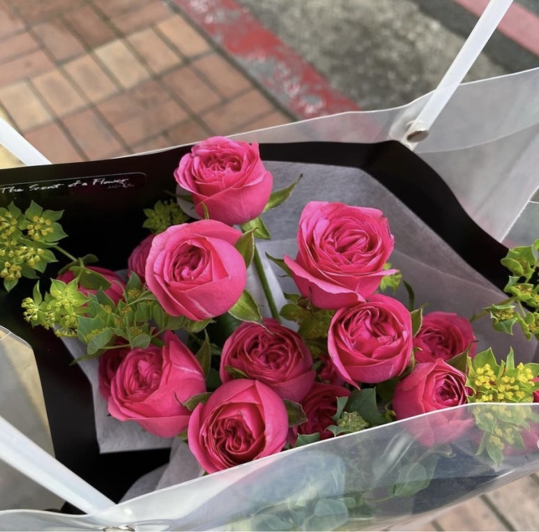 풍요속꽃향기 이미지