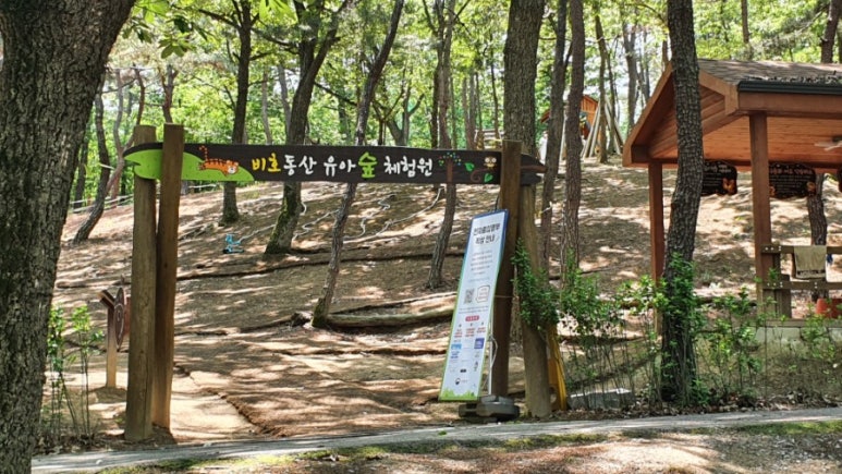 비호동산 유아숲체험원 이미지
