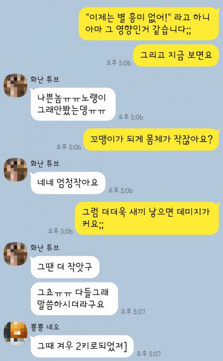 냥이커뮤니케이션 이미지