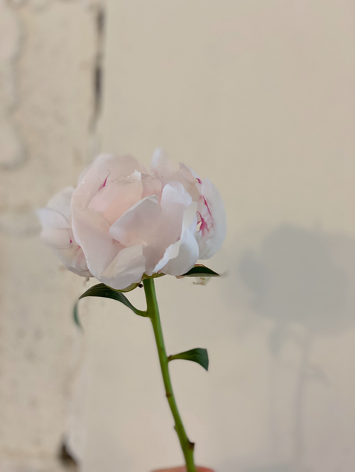 아르떼스튜디오 이미지