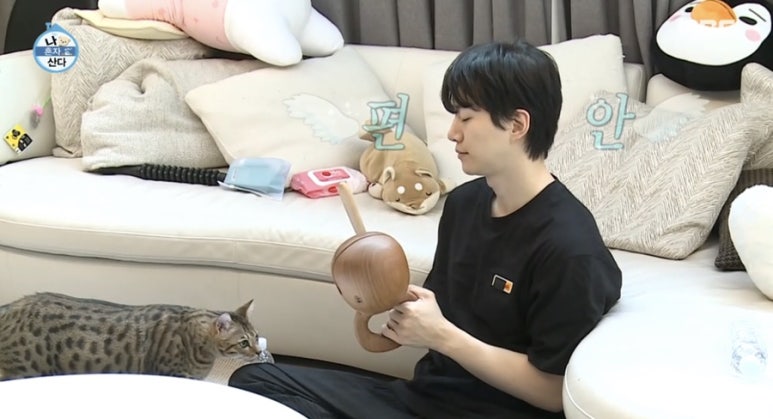 진영자동차 이미지