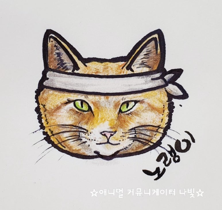냥이커뮤니케이션 이미지