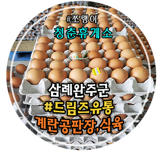 드림즈유통 이미지
