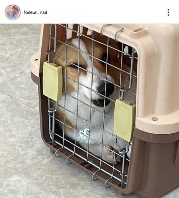 로더네일 이미지