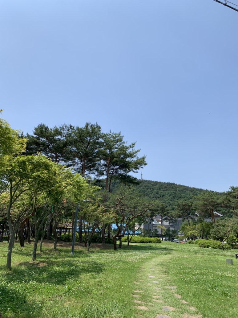대성한우마을 이미지