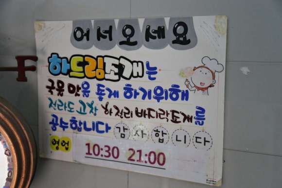 하드림해물칼국수 이미지