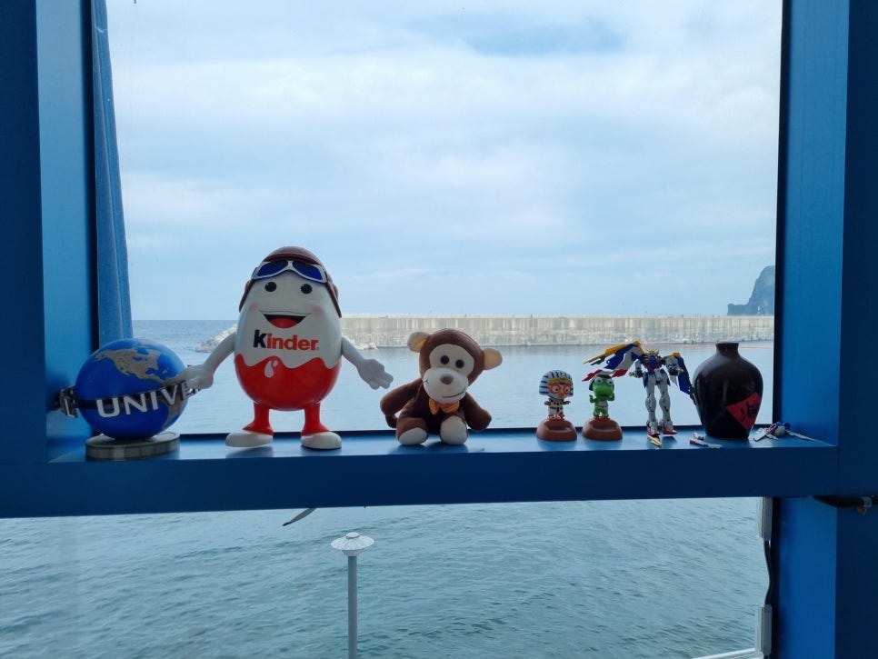 울릉도회오징어 이미지