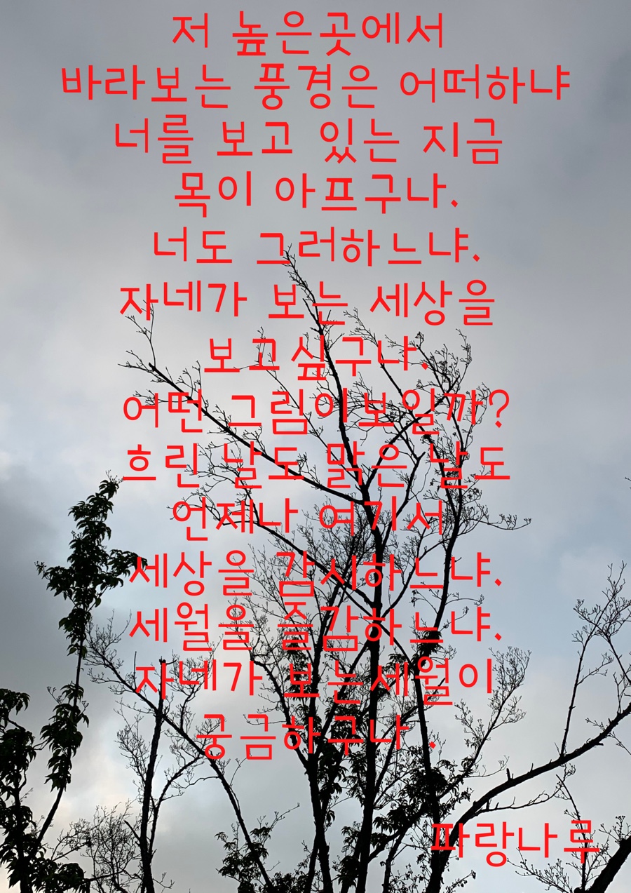 파랑나루 이미지