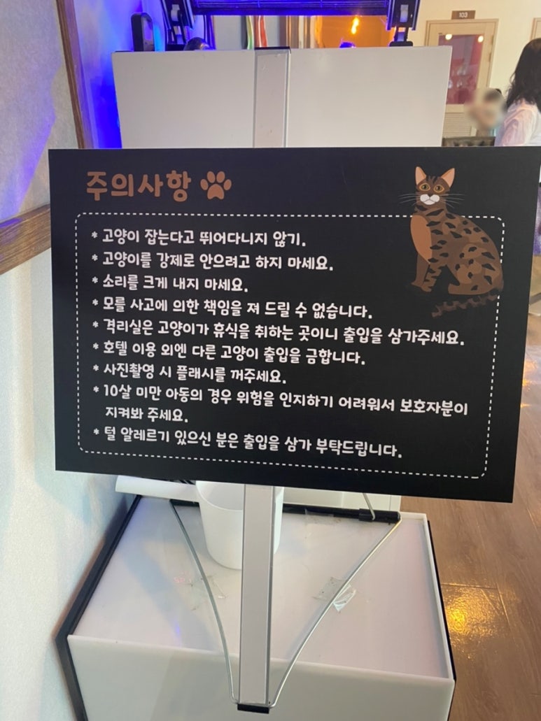 카페바른생활 이미지