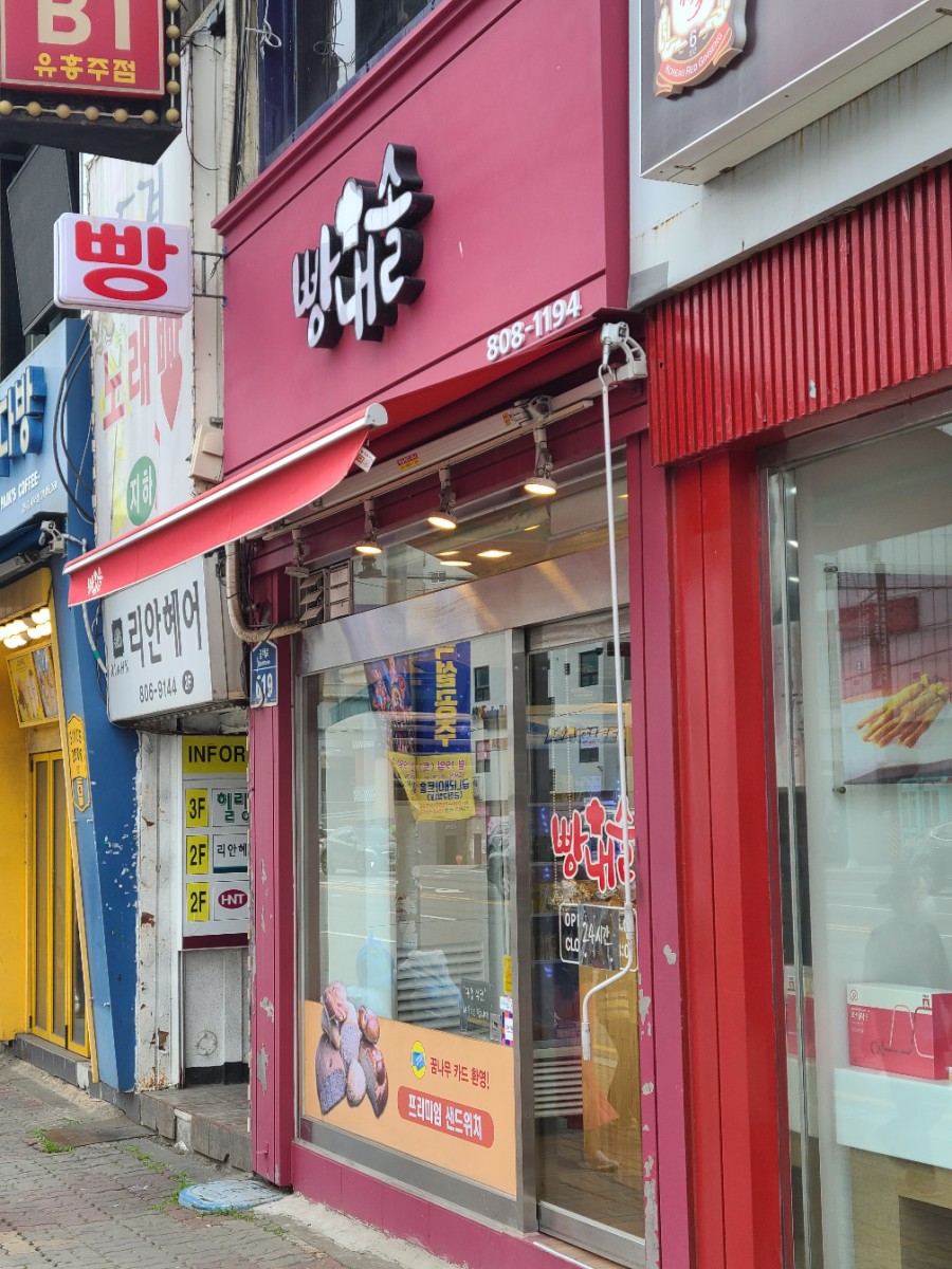 빵내솔 이미지