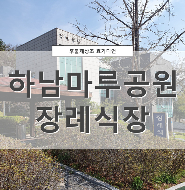 효가디언 이미지