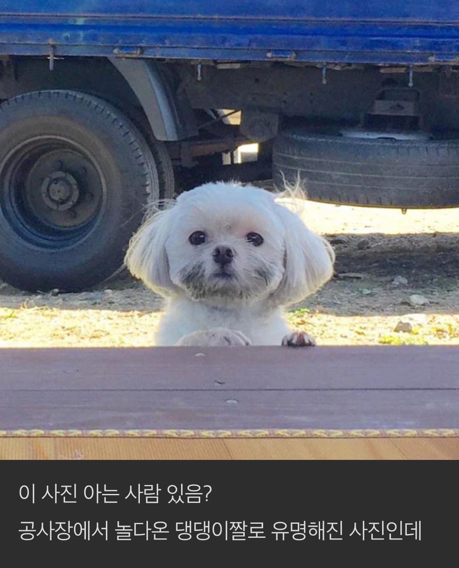 지금 이미지