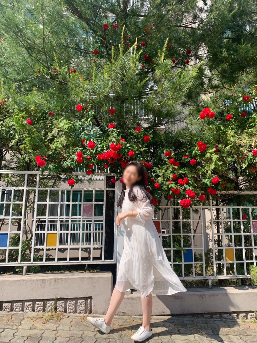 덴시티커피 이미지