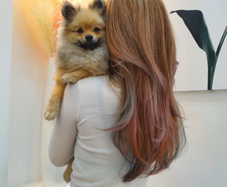 무지개미용실 이미지