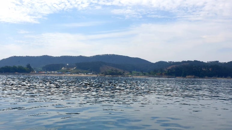 바하호 이미지