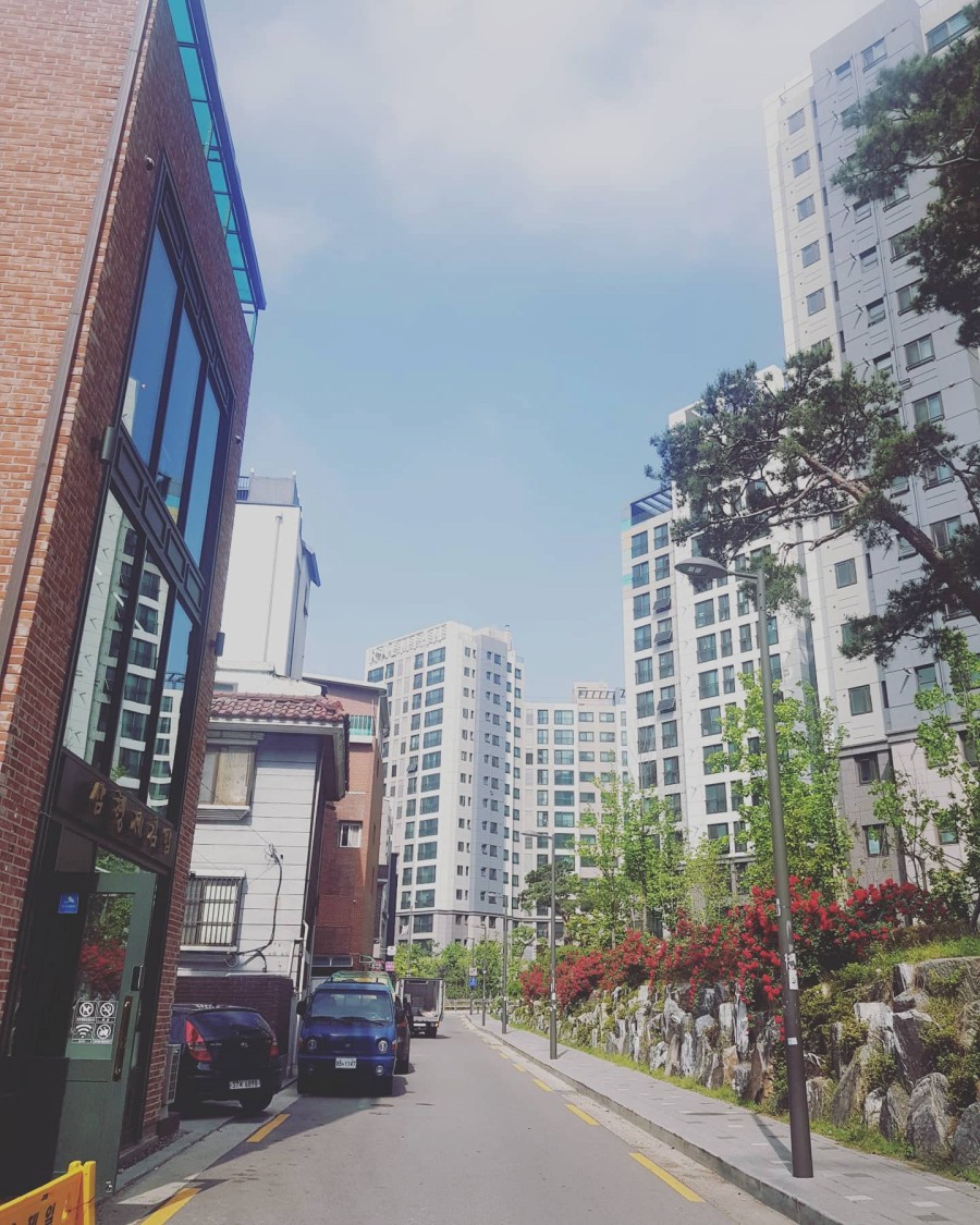 삼형제김밥 본점 이미지