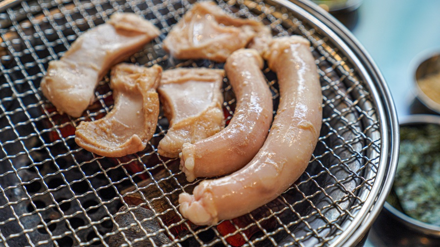 인정집 이미지