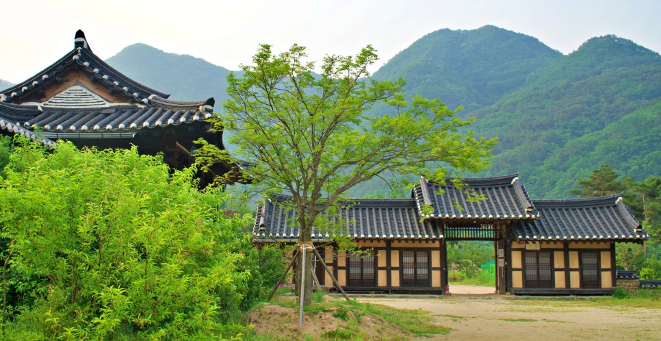 농암민박 이미지