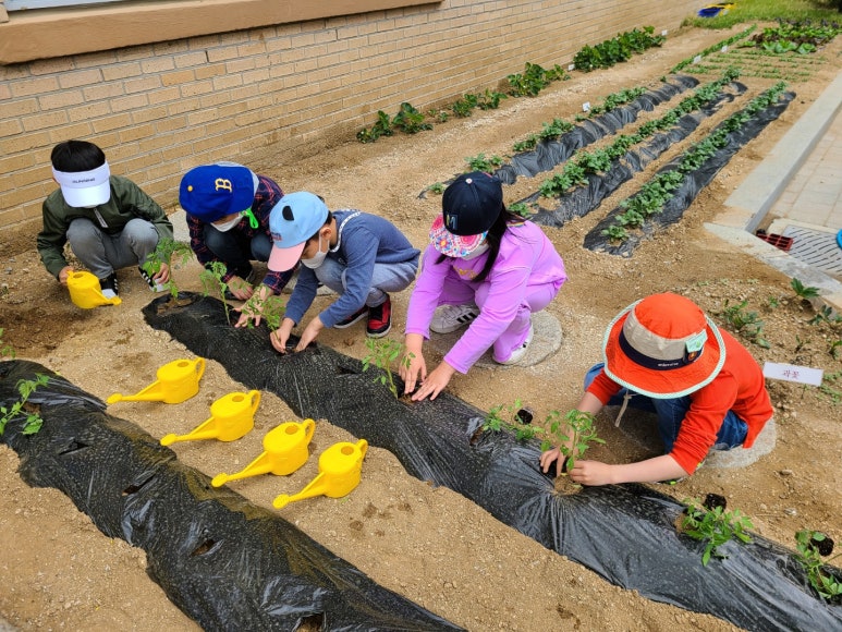 조성원예 이미지
