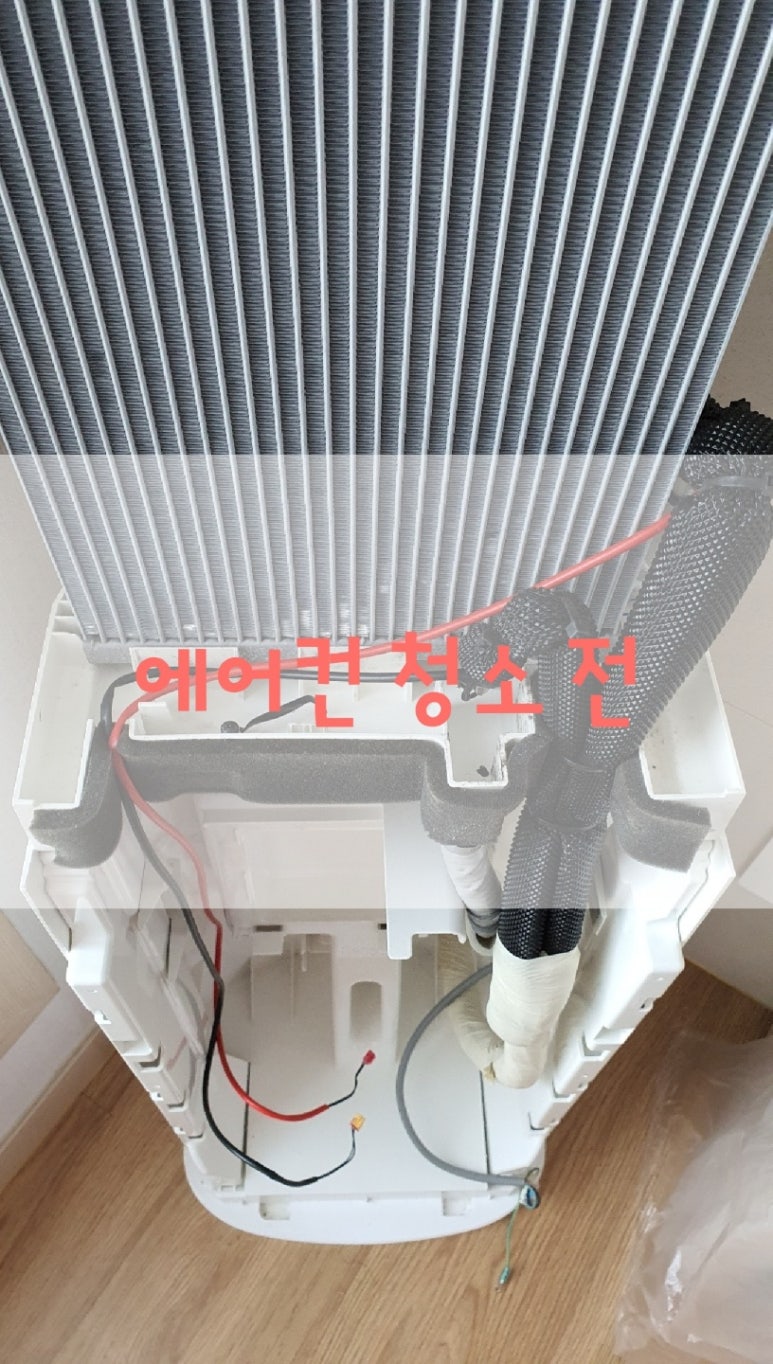 파파홈케어 이미지