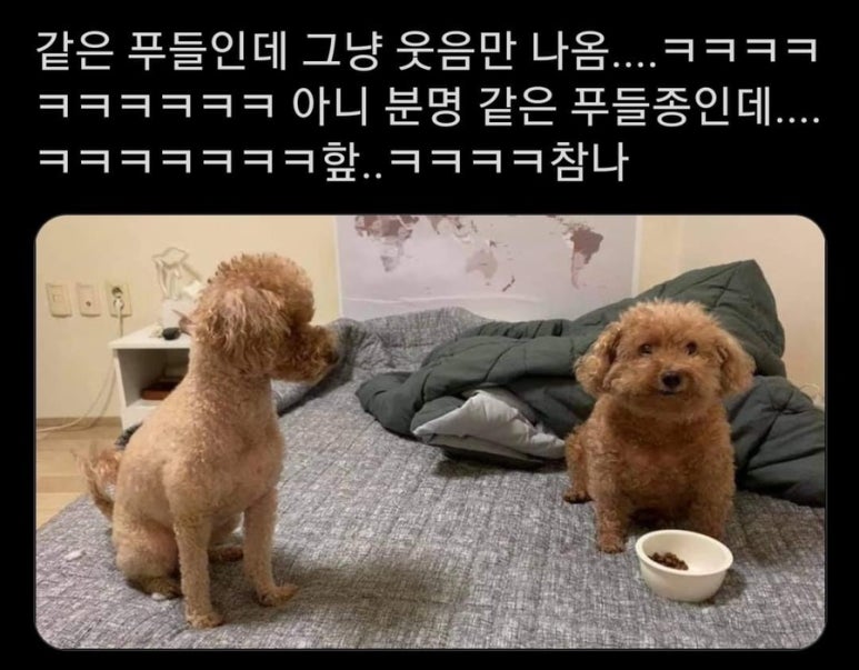 없음 이미지