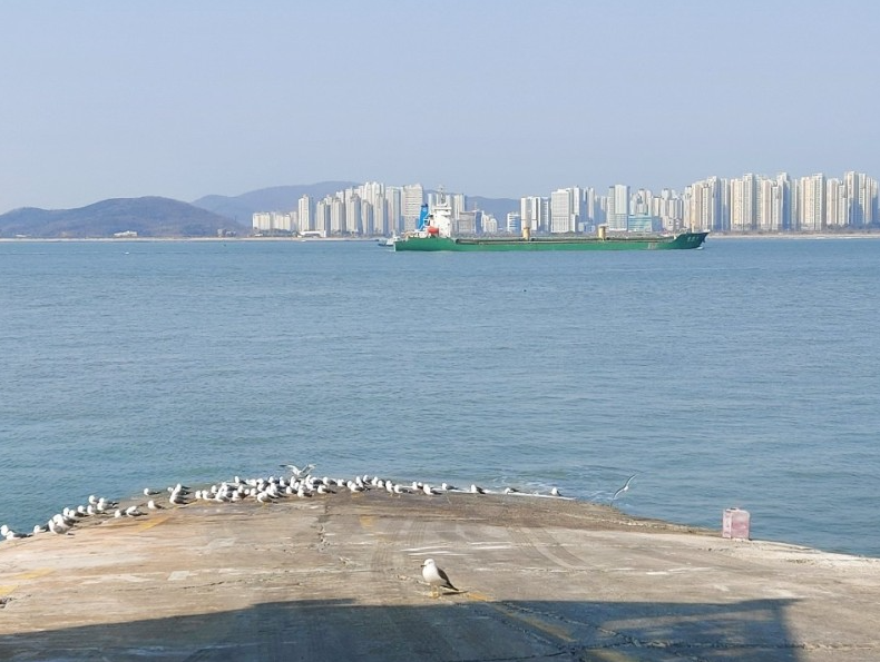 송도회집 이미지