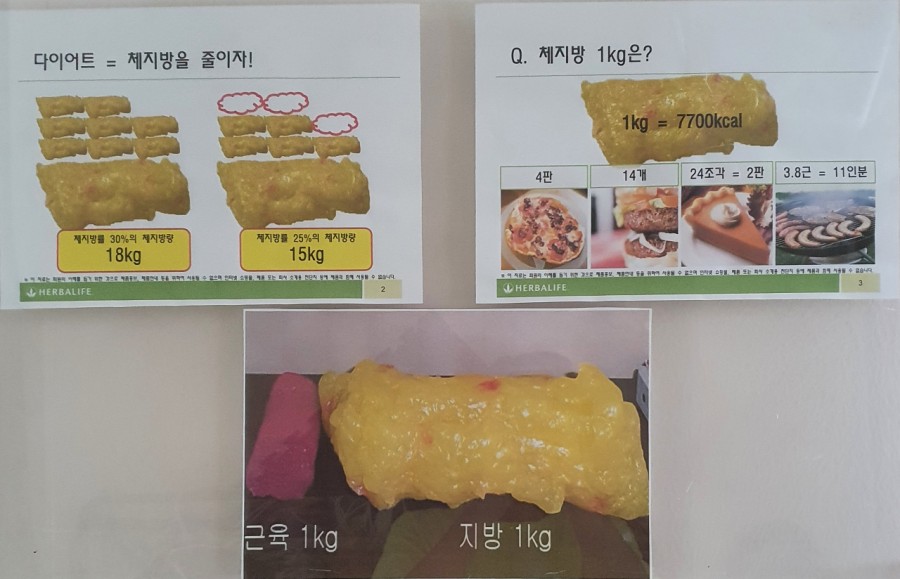 점핑재미짐 이미지