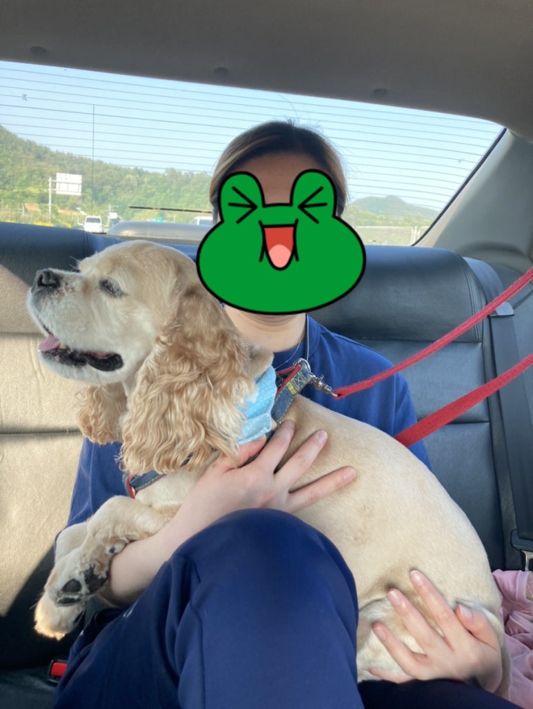 설봉낚시 이미지