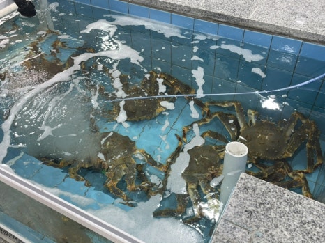 청나수산 이미지
