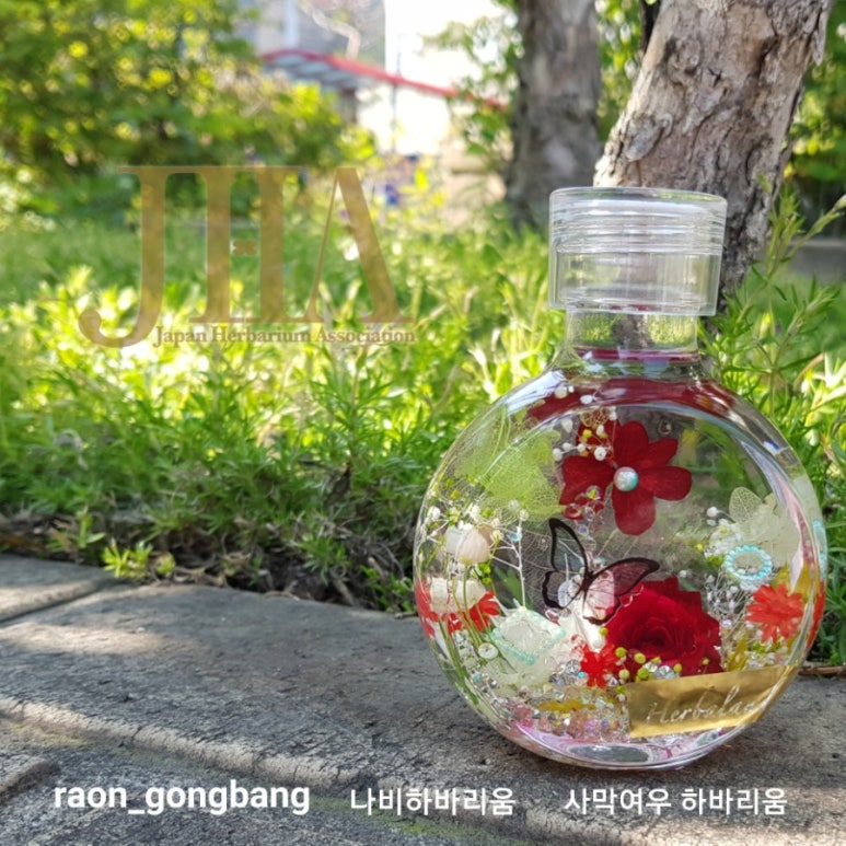 사막여우하바리움 이미지