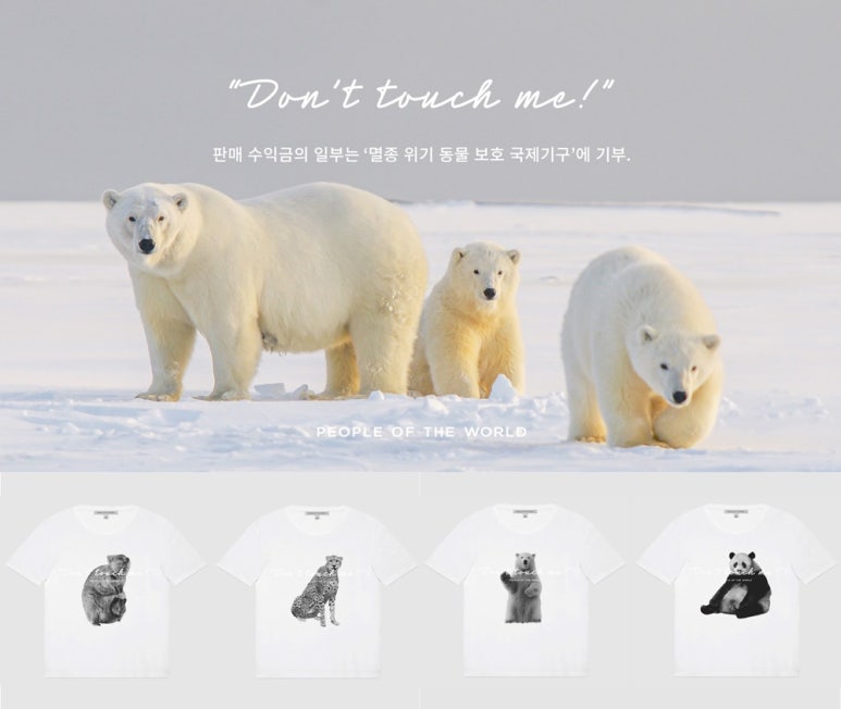 돈월드 이미지