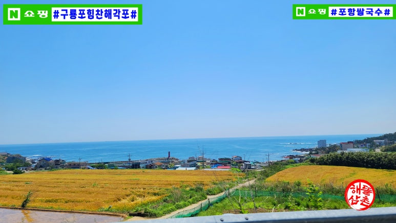 힘찬씨푸드 이미지