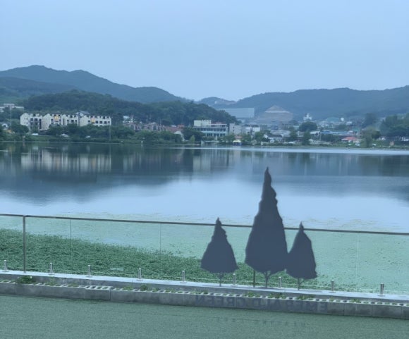 에메랄드카페 이미지