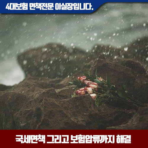 세무법인이산 이미지