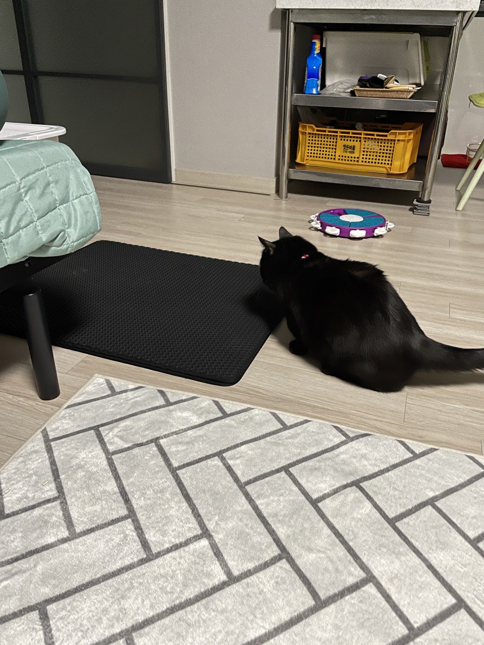 더모치킨 이미지