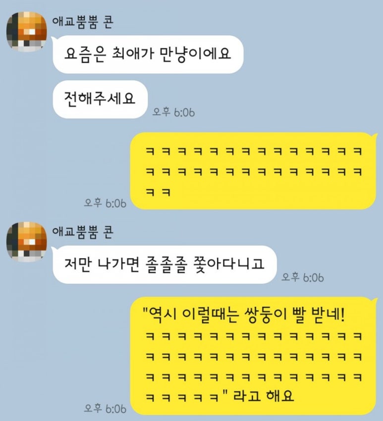 냥이커뮤니케이션 이미지