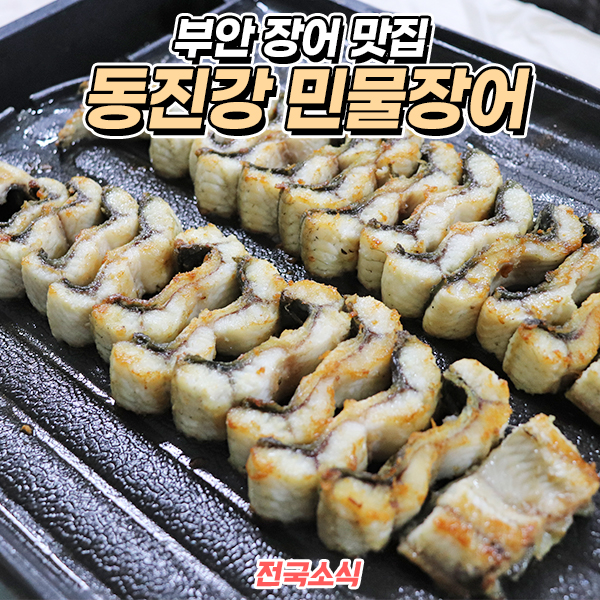 동진강민물장어 이미지