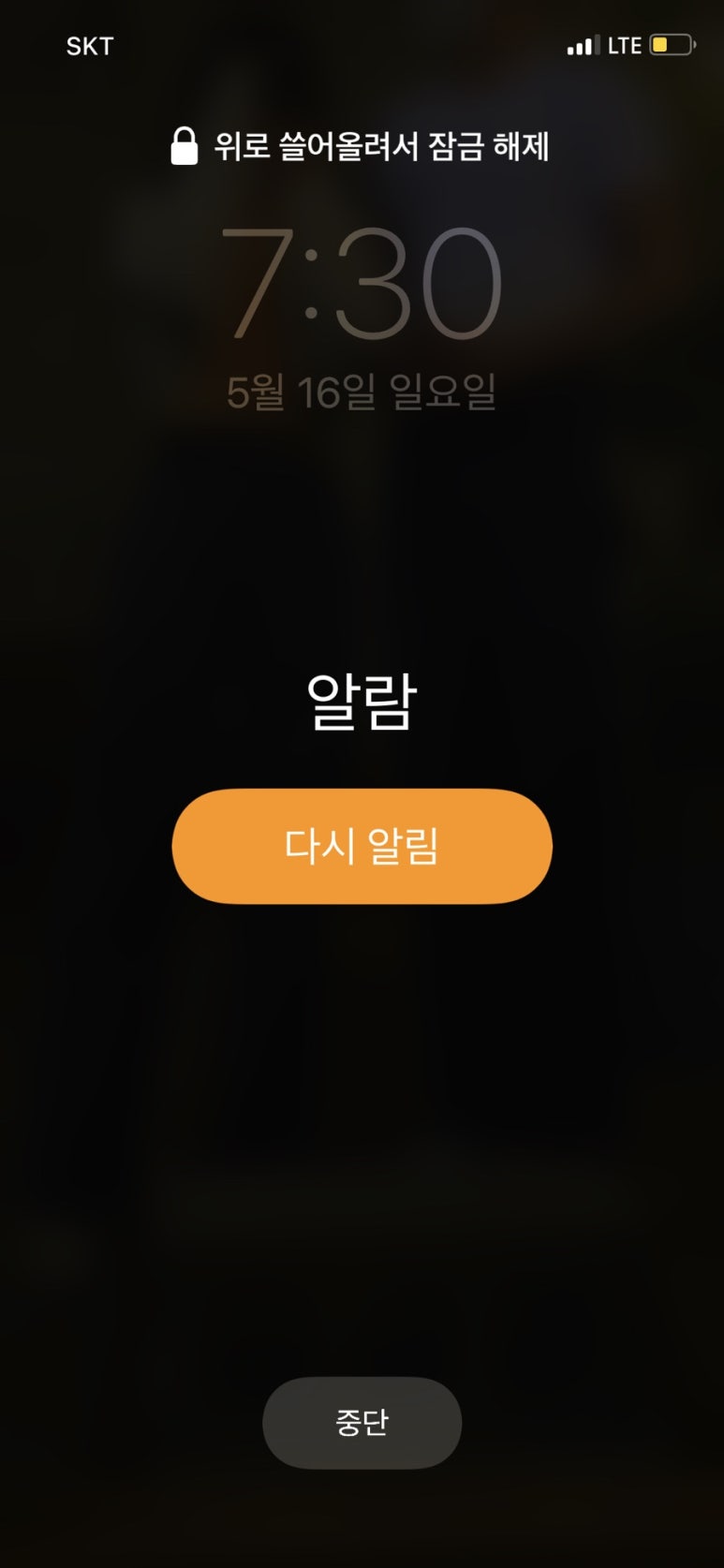 로제분식 이미지