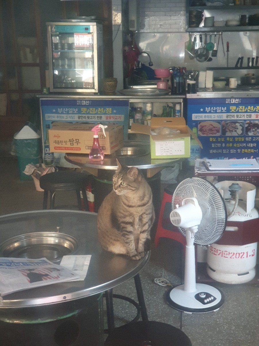 먹보뒷고기 이미지