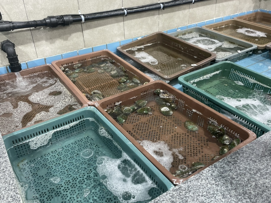 청나수산 이미지