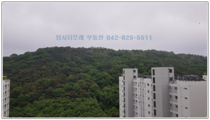 트리풀포레 어린이집 이미지